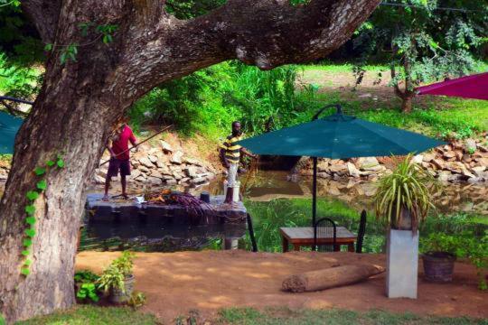 Serendib Village Guest House Negombo Eksteriør billede